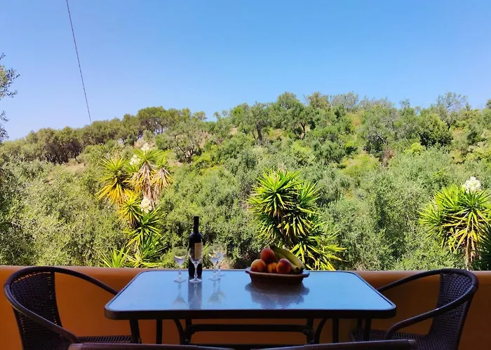 Kostas-ne Corfu With Heated Salt Swimming Pool Vila *
